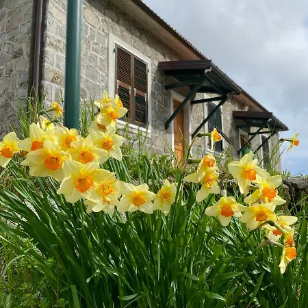 Colle Del Faggio Nature