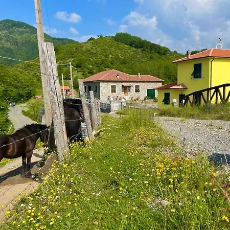 Casa vacanze Colle Del Faggio Nature Cassego-Villa