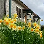 Colle Del Faggio Nature