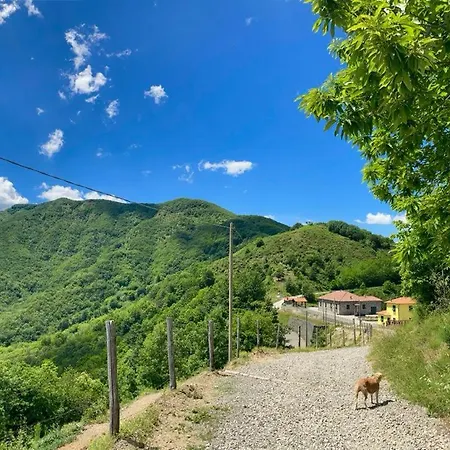 Casa de Férias Colle Del Faggio Nature *