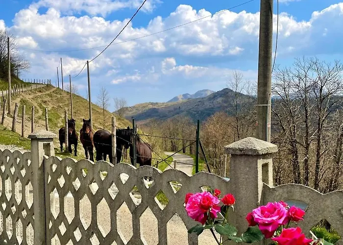 Сasa de vacaciones Colle Del Faggio Nature Cassego-Villa