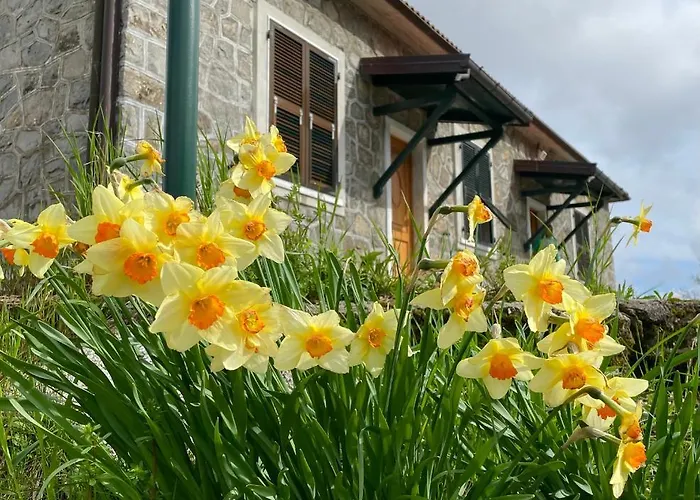 Colle Del Faggio Nature